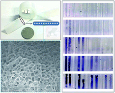 Graphical abstract: Determination of hydrogen peroxide using novel test strips based on plastic microcapillary film