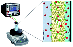 Graphical abstract: Carrier assisted electromembrane extraction based on nonionic lipophilic surfactants for the determination of basic drugs in urine samples