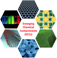 Graphical abstract: Recent progress in the application of nanomaterials in the analysis of emerging chemical contaminants