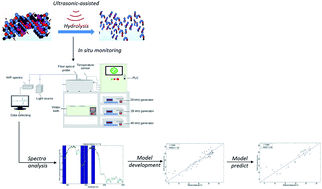 Graphical abstract: In situ and real-time monitoring of an ultrasonic-assisted enzymatic hydrolysis process of corn gluten meal by a miniature near infrared spectrometer