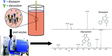 Graphical abstract: Immunoaffinity nanogold coupled with direct analysis in real time (DART) mass spectrometry for analytical toxicology