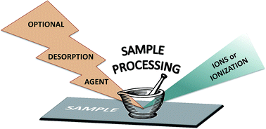 Graphical abstract: Ambient ionization mass spectrometry: real-time, proximal sample processing and ionization