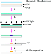 Graphical abstract: A gold nanoparticle-modified indium tin oxide microelectrode for in-channel amperometric detection in dual-channel microchip electrophoresis