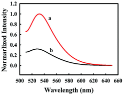 Graphical abstract: A new “on–off” fluorescent probe for the selective detection of copper ions in living cells