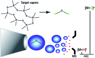 Graphical abstract: Secondary electrospray ionization proceeds via gas-phase chemical ionization