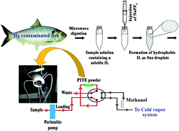 Graphical abstract: Ionic liquid based in situ solvent formation microextraction followed by on-line phase separation coupled with cold vapor-atomic absorption spectrometry for mercury determination in seafood samples