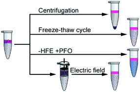 Graphical abstract: Methods to coalesce fluorinated Pickering emulsions