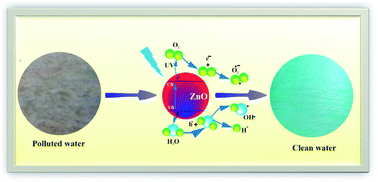 Graphical abstract: Photocatalytic and antibacterial biomimetic ZnO nanoparticles
