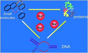 Graphical abstract: Fluorescent sensors for sodium ions