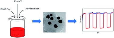 Graphical abstract: A novel photoelectrode based on eosin Y–rhodamine B duo-dye sensitized Au nanoparticles by in situ reduction