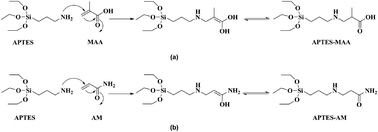 Graphical abstract: Preparation of hybrid-monomer, double-template molecularly imprinted polymers for the purification of green tea extracts