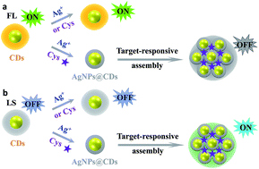 Graphical abstract: Dual-modal fluorescence and light-scattering sensor based on water-soluble carbon dots for silver ions detection