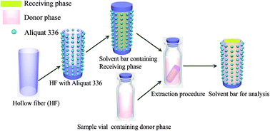 Graphical abstract: Carrier-mediated solvent bar microextraction coupled with HPLC-DAD for the quantitative analysis of the hydrophilic antihypertensive peptide VLPVPR in human plasma