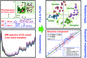 Graphical abstract: The combination of NIR spectroscopy and HPLC chromatography for differentiating lotus seed cultivars and quantitative prediction of four main constituents in lotus with the aid of chemometrics