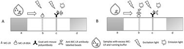 Graphical abstract: Quantitative and rapid detection of microcystin-LR using time-resolved fluorescence immunochromatographic assay based on europium nanospheres