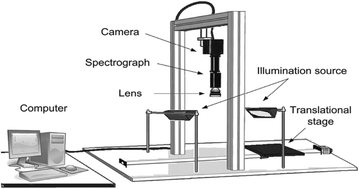 Graphical abstract: NIR hyperspectral imaging with multivariate analysis for measurement of oil and protein contents in peanut varieties