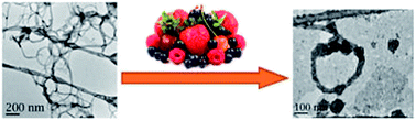 Graphical abstract: Development of an analytical method for pesticide residues in berries with dispersive solid phase extraction using multiwalled carbon nanotubes and primary secondary amine sorbents