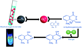 Graphical abstract: The Co3O4 nanoparticle-enhanced luminol-O2 chemiluminescence reaction used for the determination of nortriptyline hydrochloride and lamotrigine in pharmaceutical and environmental samples