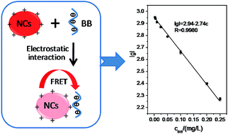 Graphical abstract: Sensitive detection of Brilliant Blue using fluorescence resonance energy transfer with YVO4:Eu nanocrystals as donors