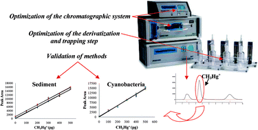 Graphical abstract: Determination of methylmercury in sediment and cyanobacteria samples: method validation and application to methylation investigation