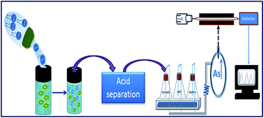 Graphical abstract: Synthesis and modification of mercapto-submicron scavenger for real-time extraction and preconcentration of As(iii)