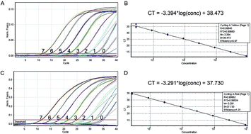 Graphical abstract: Endonuclease restriction-mediated real-time PCR for simultaneous detection of Listeria monocytogenes and Listeria ivanovii