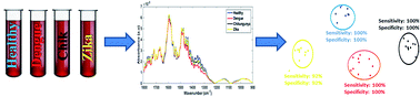 Graphical abstract: ATR-FTIR spectroscopy with chemometric algorithms of multivariate classification in the discrimination between healthy vs. dengue vs. chikungunya vs. zika clinical samples