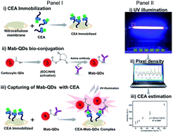 Graphical abstract: Development of an immunoblot assay for carcinoembryonic antigen (CEA) in human serum using a portable UV illuminator