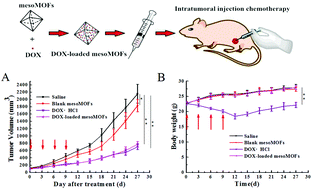 Graphical abstract: Mesoporous iron-carboxylate metal–organic frameworks synthesized by the double-template method as a nanocarrier platform for intratumoral drug delivery