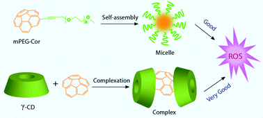 Graphical abstract: Controlled ROS production by corannulene: the vehicle makes a difference