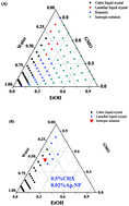 Graphical abstract: A liquid crystalline precursor incorporating chlorhexidine acetate and silver nanoparticles for root canal disinfection