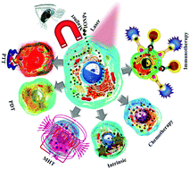 Graphical abstract: Therapeutic applications of iron oxide based nanoparticles in cancer: basic concepts and recent advances