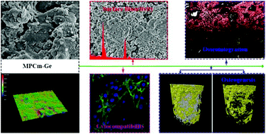 Graphical abstract: The effects of surface bioactivity and sustained-release of genistein from a mesoporous magnesium-calcium-silicate/PK composite stimulating cell responses in vitro, and promoting osteogenesis and enhancing osseointegration in vivo