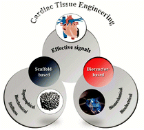 Graphical abstract: Strategies for directing cells into building functional hearts and parts