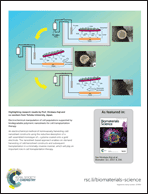Graphical abstract: Back cover