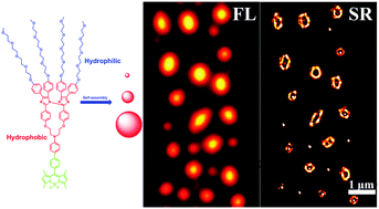 Graphical abstract: Super-resolution imaging of self-assembly of amphiphilic photoswitchable macrocycles