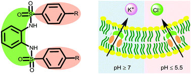 Graphical abstract: Bis(sulfonamide) transmembrane carriers allow pH-gated inversion of ion selectivity