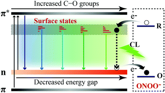 Graphical abstract: Insights into the role of nanostructure in the sensing properties of carbon nanodots for improved sensitivity to reactive oxygen species in living cells