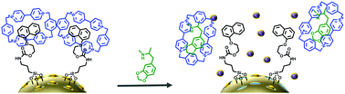 Graphical abstract: Pseudorotaxane capped mesoporous silica nanoparticles for 3,4-methylenedioxymethamphetamine (MDMA) detection in water