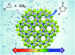 Graphical abstract: Robust high-connected rare-earth MOFs as efficient heterogeneous catalysts for CO2 conversion