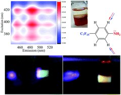 Graphical abstract: Long Stokes shifts and vibronic couplings in perfluorinated polyanilines