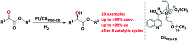 Graphical abstract: A thermoregulated phase-separable chiral Pt nanocatalyst for recyclable asymmetric hydrogenation of α-ketoesters