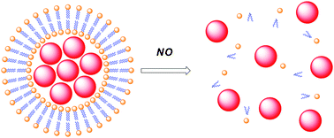 Graphical abstract: NO-Responsive vesicles as a drug delivery system