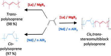 Graphical abstract: Isoprene chain shuttling polymerisation between cis and trans regulating catalysts: straightforward access to a new material