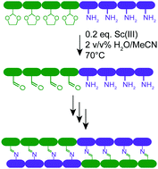 Graphical abstract: In situ deprotection and dynamic covalent assembly using a dual role catalyst