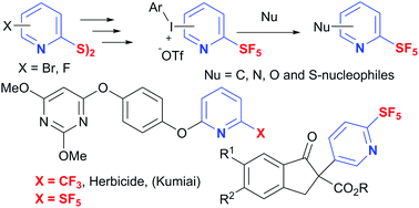 Graphical abstract: SF5-Pyridylaryl-λ3-iodonium salts and their utility as electrophilic reagents to access SF5-pyridine derivatives in the late-stage of synthesis