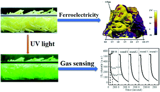 Graphical abstract: (Diisopropylammonium)2MnBr4: a multifunctional ferroelectric with efficient green-emission and excellent gas sensing properties