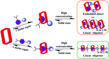 Graphical abstract: Discrete 1 : 1 complexes and higher order assemblies formed from aminobenzene sulphonate anions and a tetraimidazolium “molecular box”