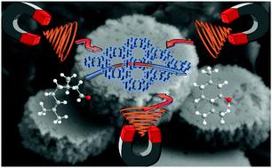 Graphical abstract: Magnetic zeolites: novel nanoreactors through radiofrequency heating