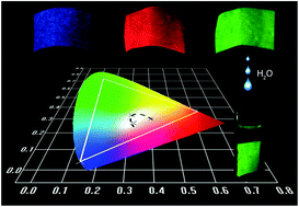 Graphical abstract: Designing of blue, green, and red CsPbX3 perovskite-codoped flexible films with water resistant property and elimination of anion-exchange for tunable white light emission